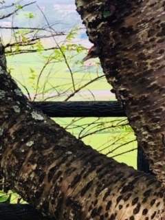 image1.jpeg