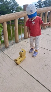 image3.jpeg